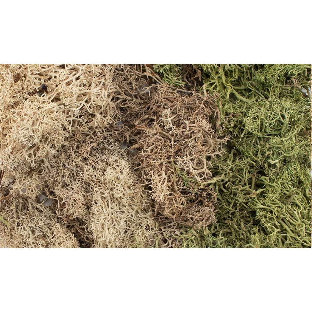 AllGameTerrain: EZ Bushes - Winter Mix (G6500)