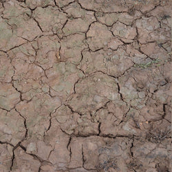 AK: Terrains - Wet Crackle Effects (100ml / Acrylic) (AK8034)