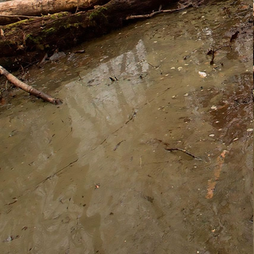 AK Interactive Water Gel: Swamp Green (250ml, Acrylic)