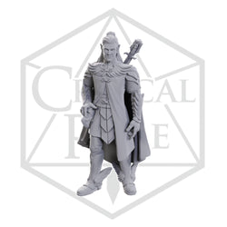 Critical Role Minis: Dorian Storm (Unpainted) (WV23)