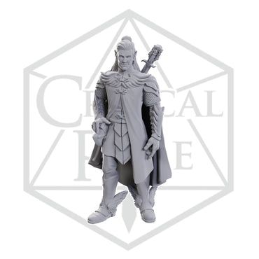 Critical Role Minis: Dorian Storm (Unpainted) (WV23)