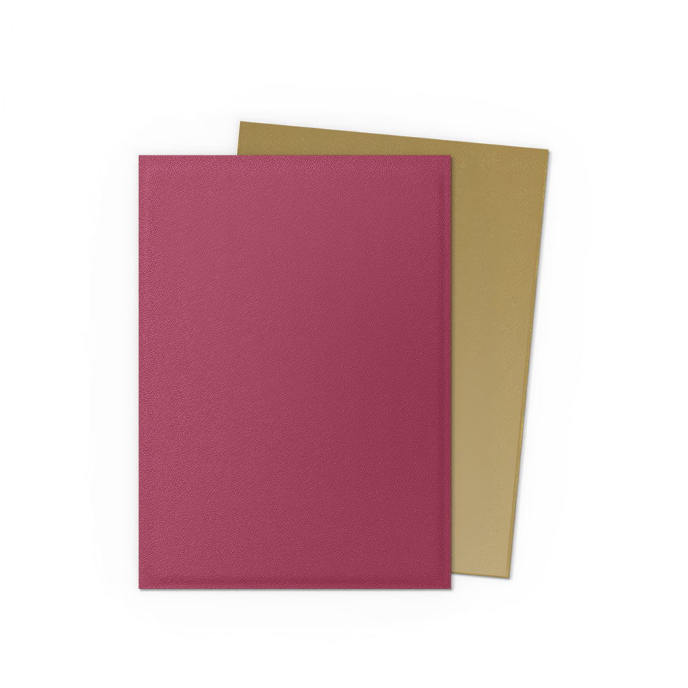 Dragon Shields: Matte Dual Sleeves - Anniversary Special Edition Red Gold (100 Count)