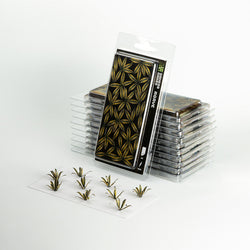 Gamers Grass: Laser Plants - Agave