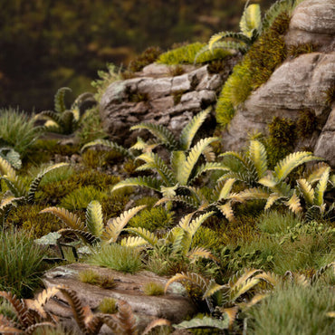 Gamers Grass: Laser Plants - Deer Fern