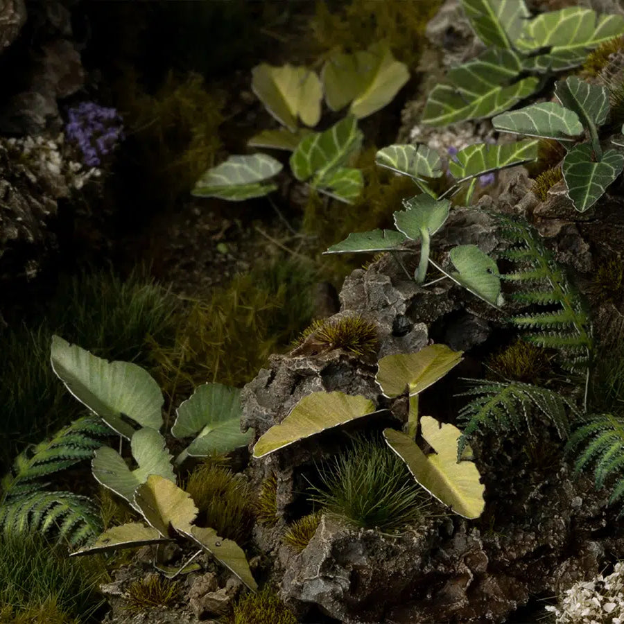 Gamers Grass: Laser Plants - Elephant Ear