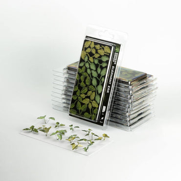 Gamers Grass: Laser Plants - Elephant Ear