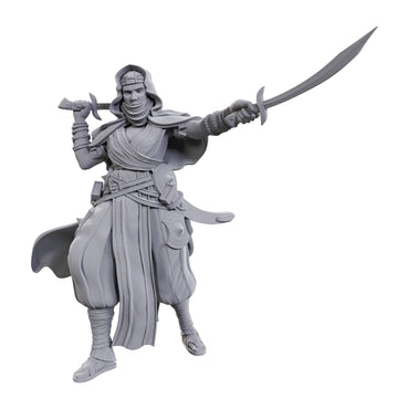 Pathfinder Minis: Desert Giant (Unpainted) (WV23)