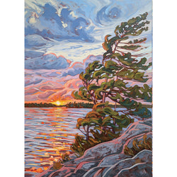 Cobble Hill Puzzles (1000 Pieces): Windswept