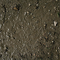 AK: Terrains - Wet Ground (250ml) (AK8016)