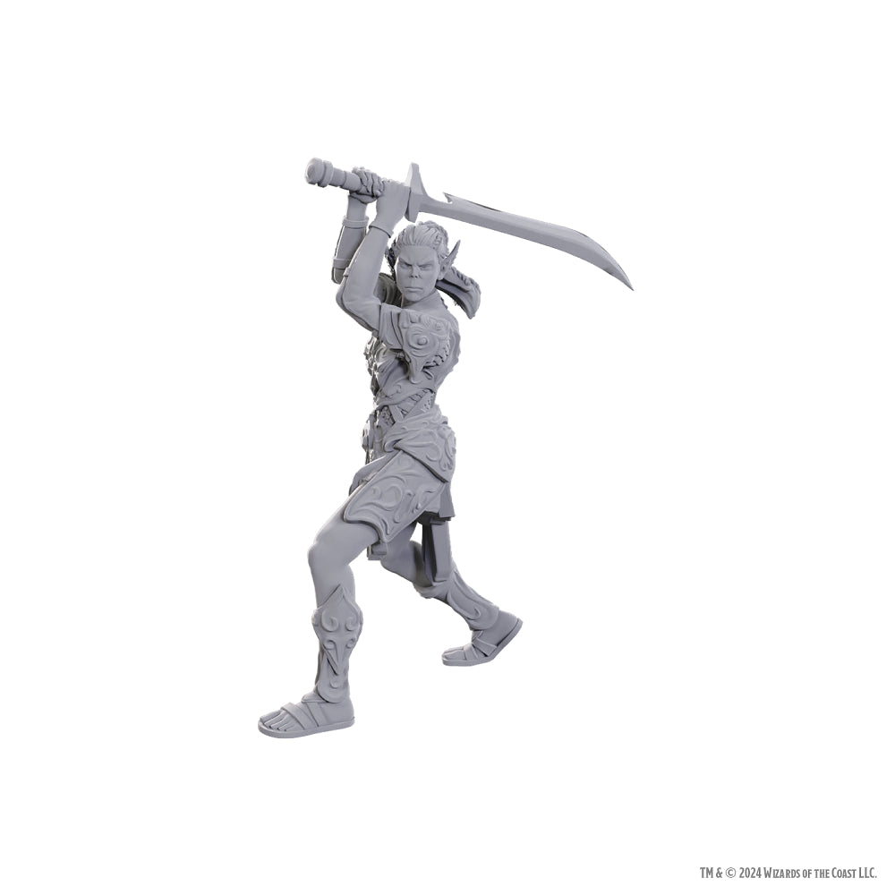 D&D Minis: Baldur's Gate 3 - Lae'zel & Shadowheart (Unpainted / Special Edition)