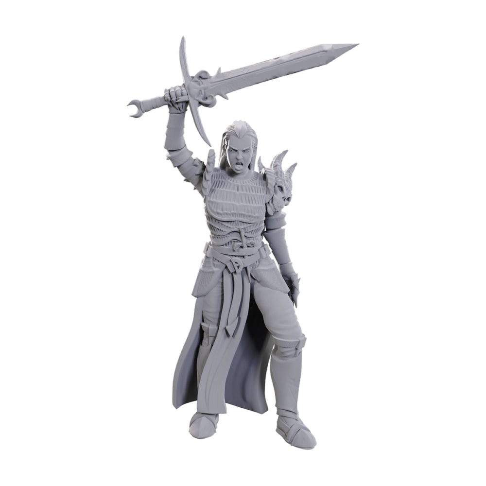 D&D Minis: Blackguard (Unpainted / WV25)