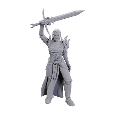 D&D Minis: Blackguard (Unpainted / WV25)