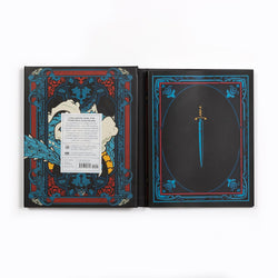 D&D: The Book of Concealment (DM Screen & Journal)