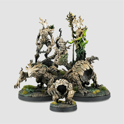 Epic Encounters: Forest of the Damned