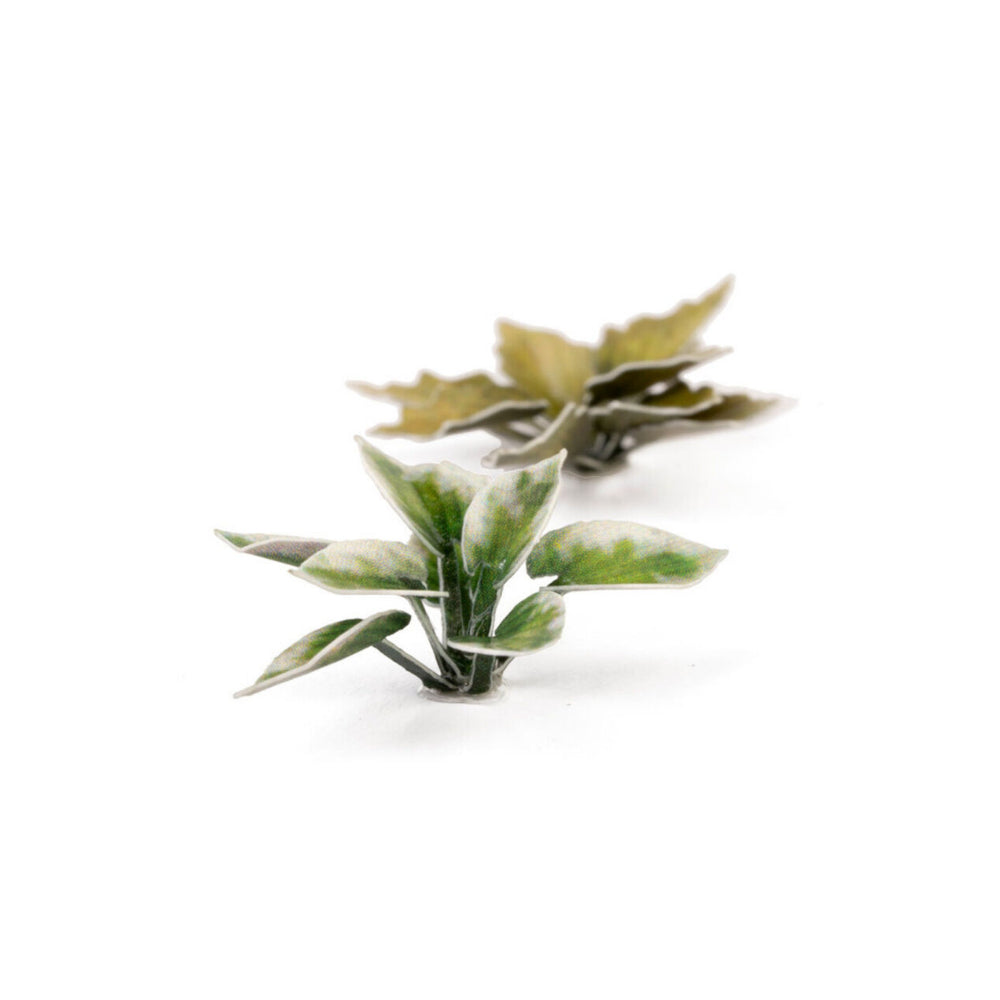 Gamers Grass: Laser Plants - Plantain Lily