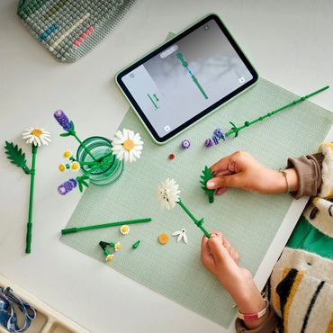LEGO® Botanicals: Daisies - 11508