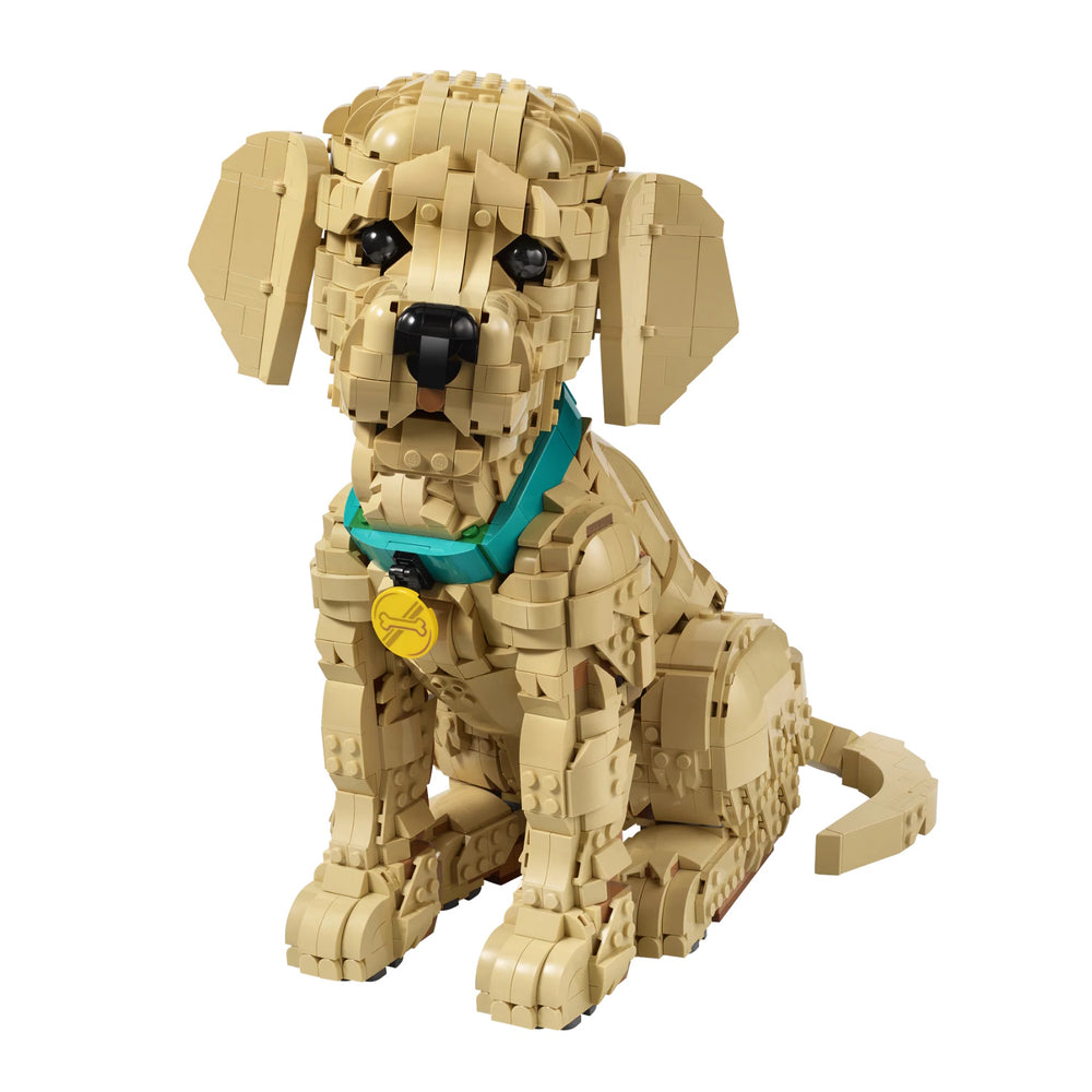 LEGO® Icons: Golden Retriever Puppy - 11384