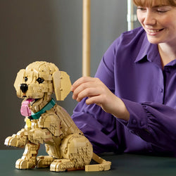 LEGO® Icons: Golden Retriever Puppy - 11384