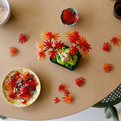 LEGO® Botanicals: Japanese Red Maple - 10348