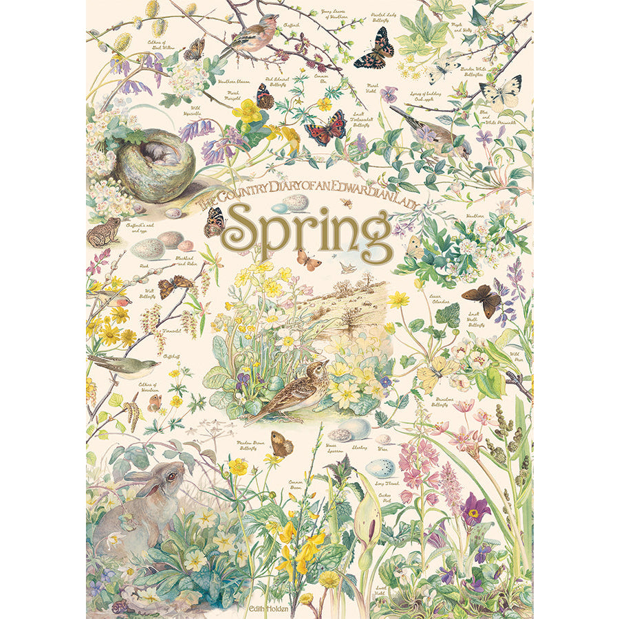 Cobble Hill Puzzles (1000 Pieces): Country Diary - Spring