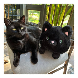 Squishable Mini: Black Kitty