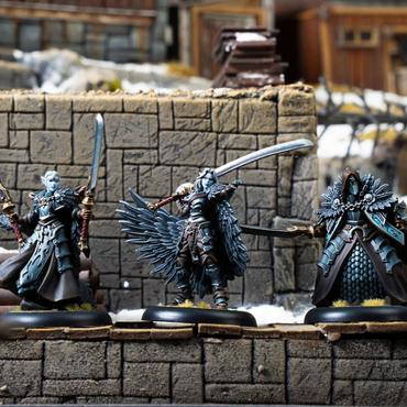 Warmachine: Dusk Final Hunt Command Cadre