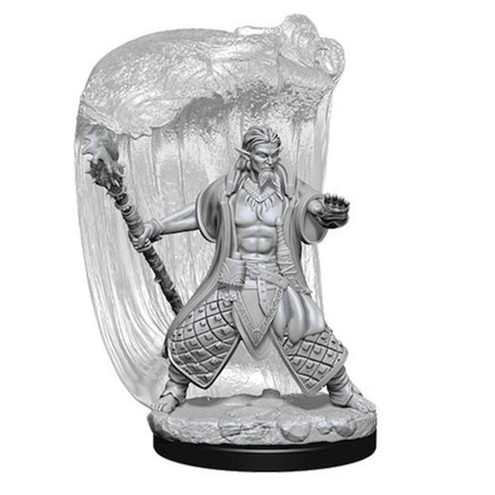 D&D Minis: Water Genasi Druid (Male)