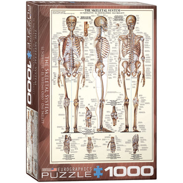 Eurographics Puzzles (1000 Pieces): The Skeleton System