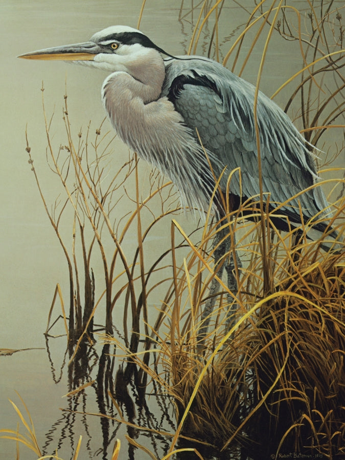 Cobble Hill Puzzles: Great Blue Heron 500ct