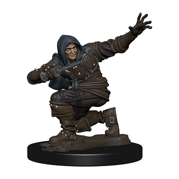Pathfinder Minis: Human Rogue Male (Prepainted)
