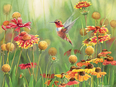 Cobble Hill Puzzles: Rufous Hummingbird 500ct
