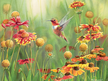 Cobble Hill Puzzles (500 Pieces): Rufous Hummingbird