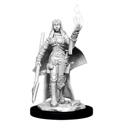 Pathfinder Minis: Human Oracle (Female)