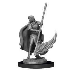 Pathfinder Minis: Human Oracle (Female)