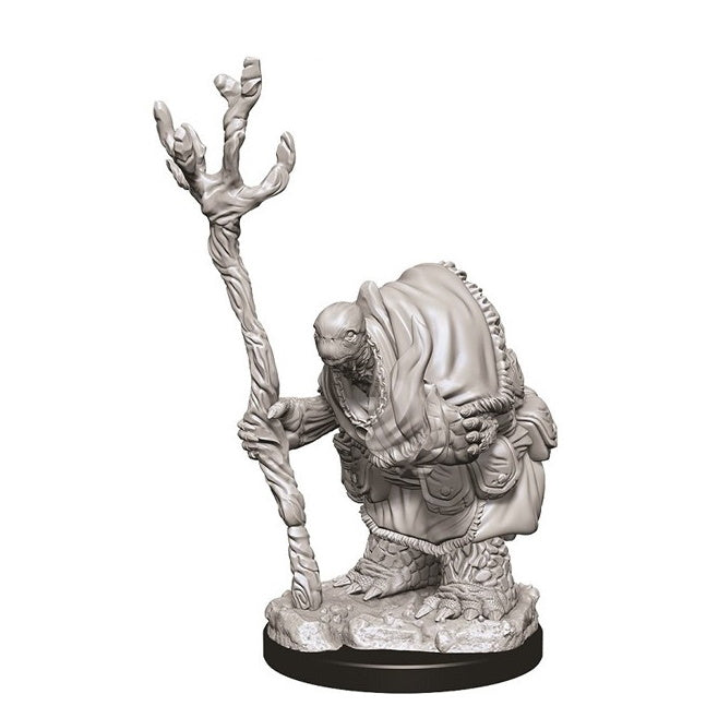 D&D Minis: Tortle Adventurers (Druid & Monk)