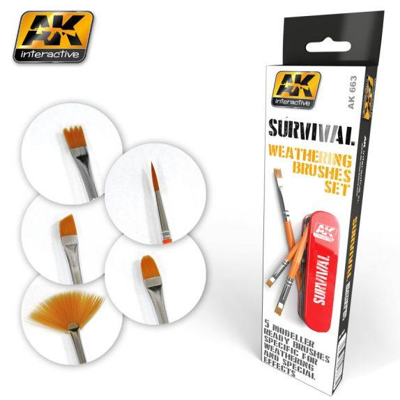 AK: Survival Weathering Brush Set
