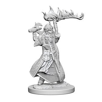 Pathfinder Minis: Human Cleric (Female) (Unpainted / WV1)