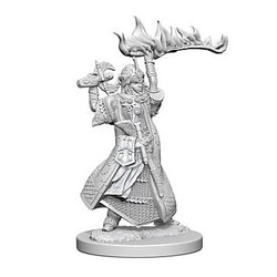 Pathfinder Minis: Human Cleric (Female) (Unpainted / WV1)