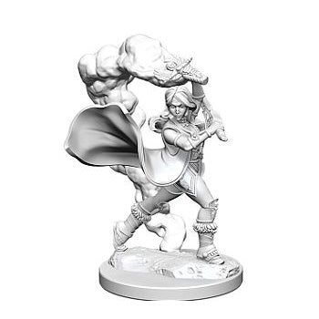 Pathfinder Minis: Human Cleric (Female) (Unpainted / WV1)