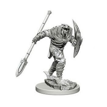 D&D Minis: Dragonborn Fighter (Male)