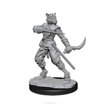 D&D Minis: Tabaxi Rogue (Male)