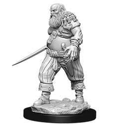 RPG Minis: Pirates