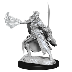 D&D Minis: Winter Eladrin & Spring Eladrin (Unpainted / WV15)
