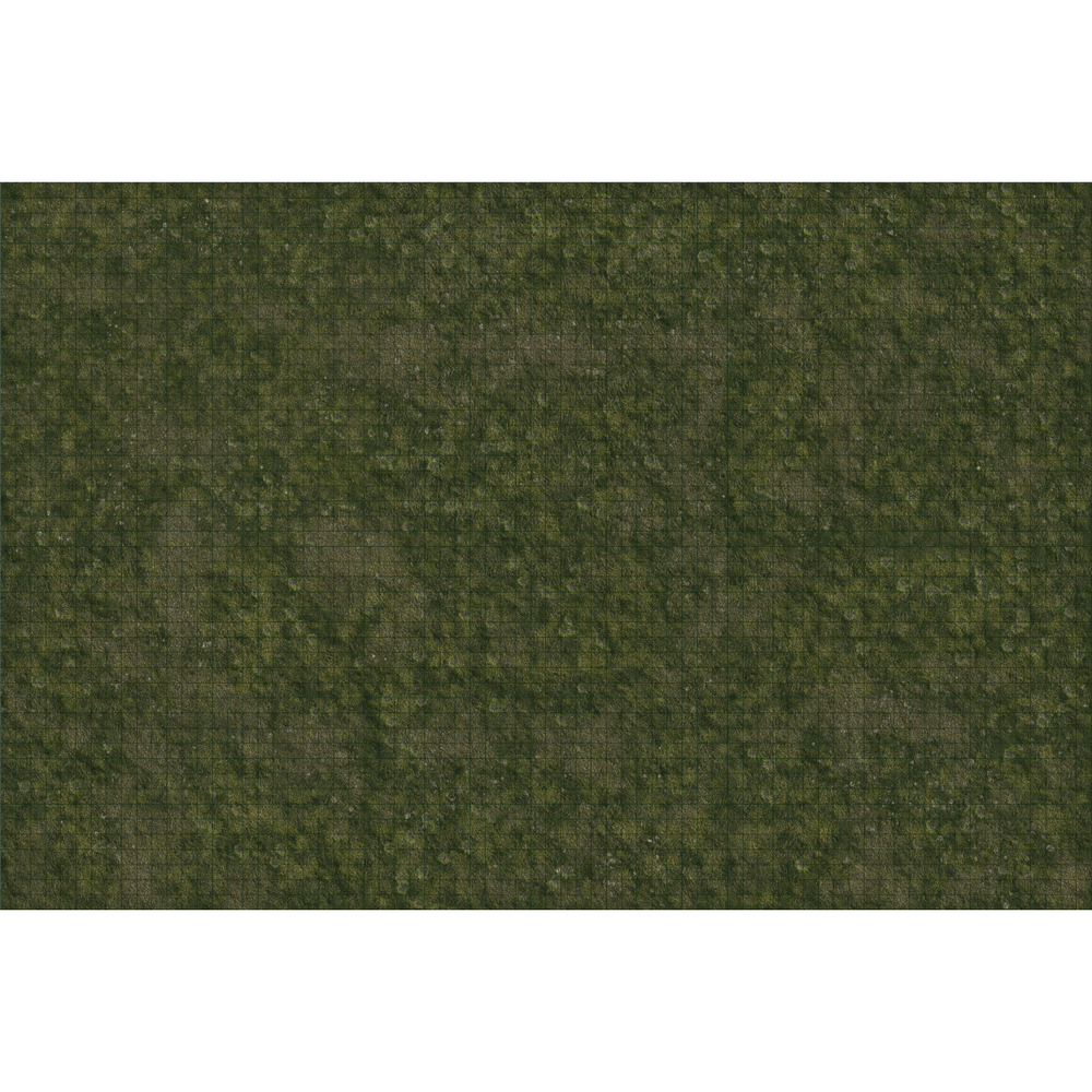 DND Battle Map: Grasslands