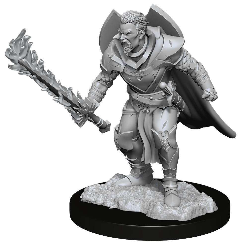 Pathfinder Minis: Male Human Champion