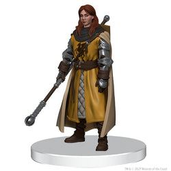 Dungeons & Dragons Miniatures: Icons of the Realms: The Wild Beyond the Witchlight; Valor's Call