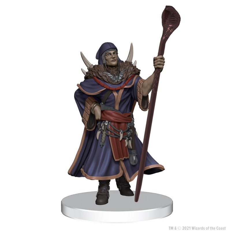 Dungeons & Dragons Miniatures: Icons of the Realms: The Wild Beyond the Witchlight; League of Malevolence