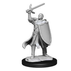 D&D Minis: Half-Elf Paladin