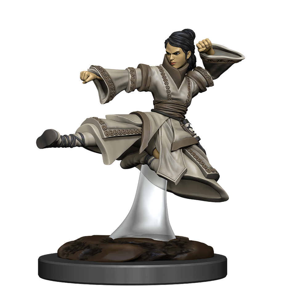D&D Minis: Human Monk (Prepainted)
