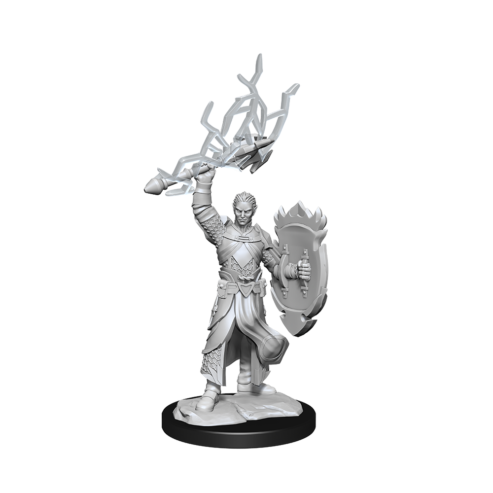 D&D Minis: Half-Elf Paladin